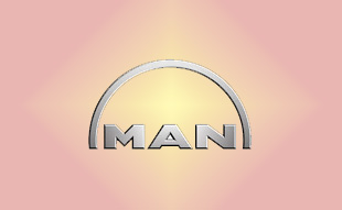 ✓ MAN 36.25902.0036 Запчасти МАН (MAN) 